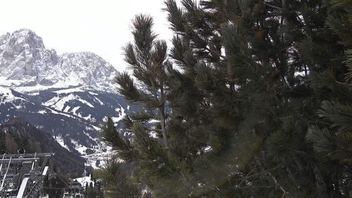 Archiv Foto Webcam Col Raiser - St. Christina