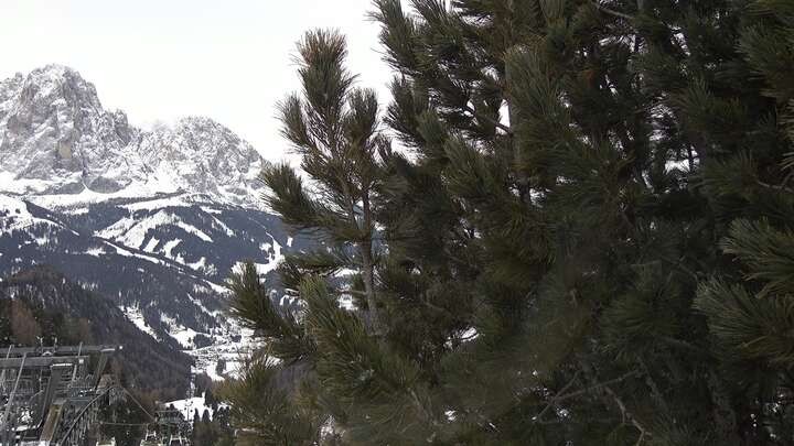 Archiv Foto Webcam Col Raiser - St. Christina