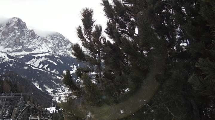 Archiv Foto Webcam Col Raiser - St. Christina