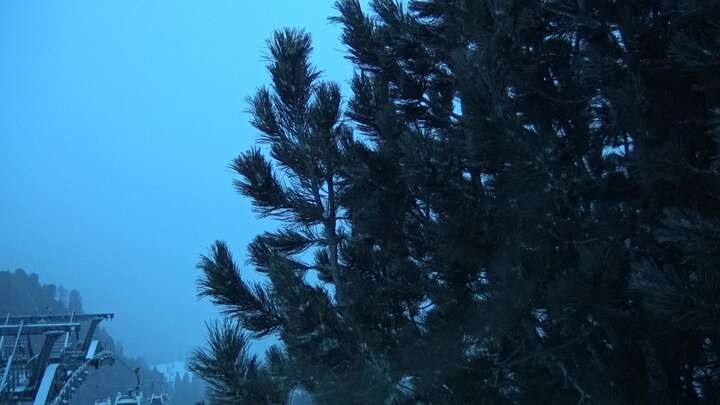 Archiv Foto Webcam Col Raiser - St. Christina