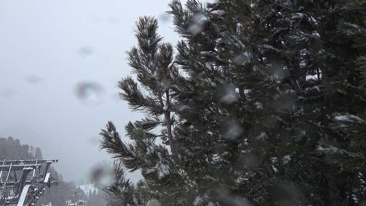 Archiv Foto Webcam Col Raiser - St. Christina