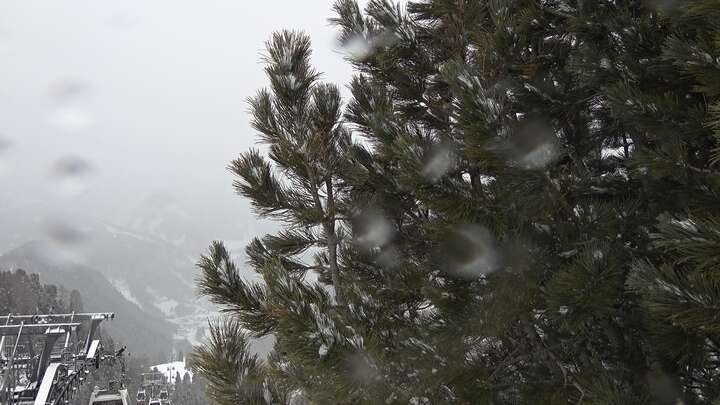 Archiv Foto Webcam Col Raiser - St. Christina