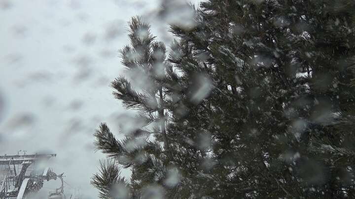 Archiv Foto Webcam Col Raiser - St. Christina