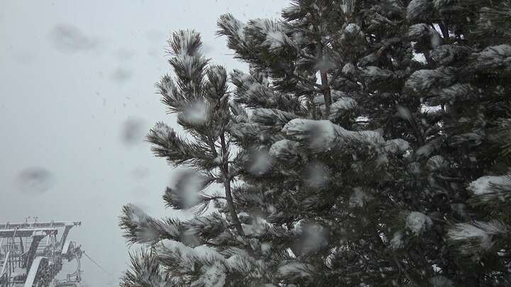 Archiv Foto Webcam Col Raiser - St. Christina