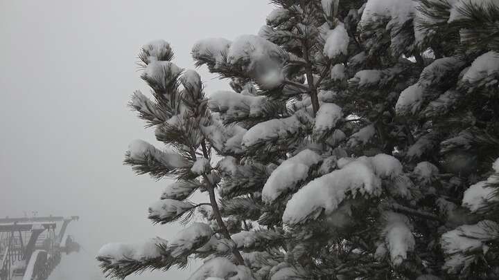 Archiv Foto Webcam Col Raiser - St. Christina