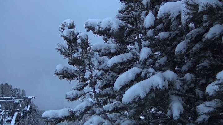 Archiv Foto Webcam Col Raiser - St. Christina