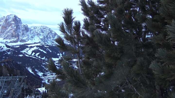 Archiv Foto Webcam Col Raiser - St. Christina