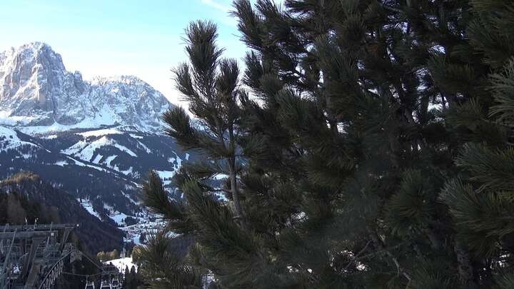 Archiv Foto Webcam Col Raiser - St. Christina