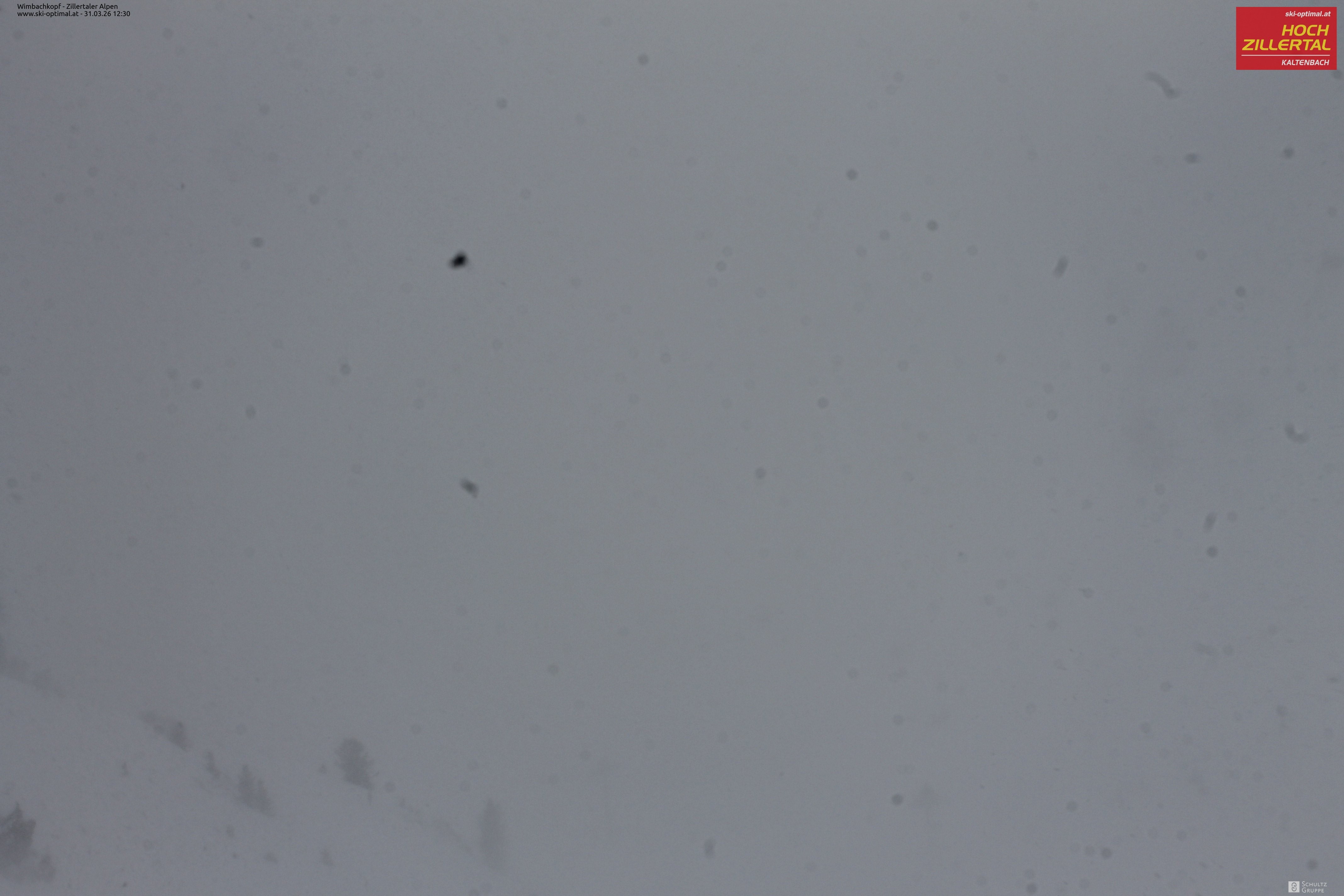 Archived image Webcam Hochzillertal: Mountain View Restaurant