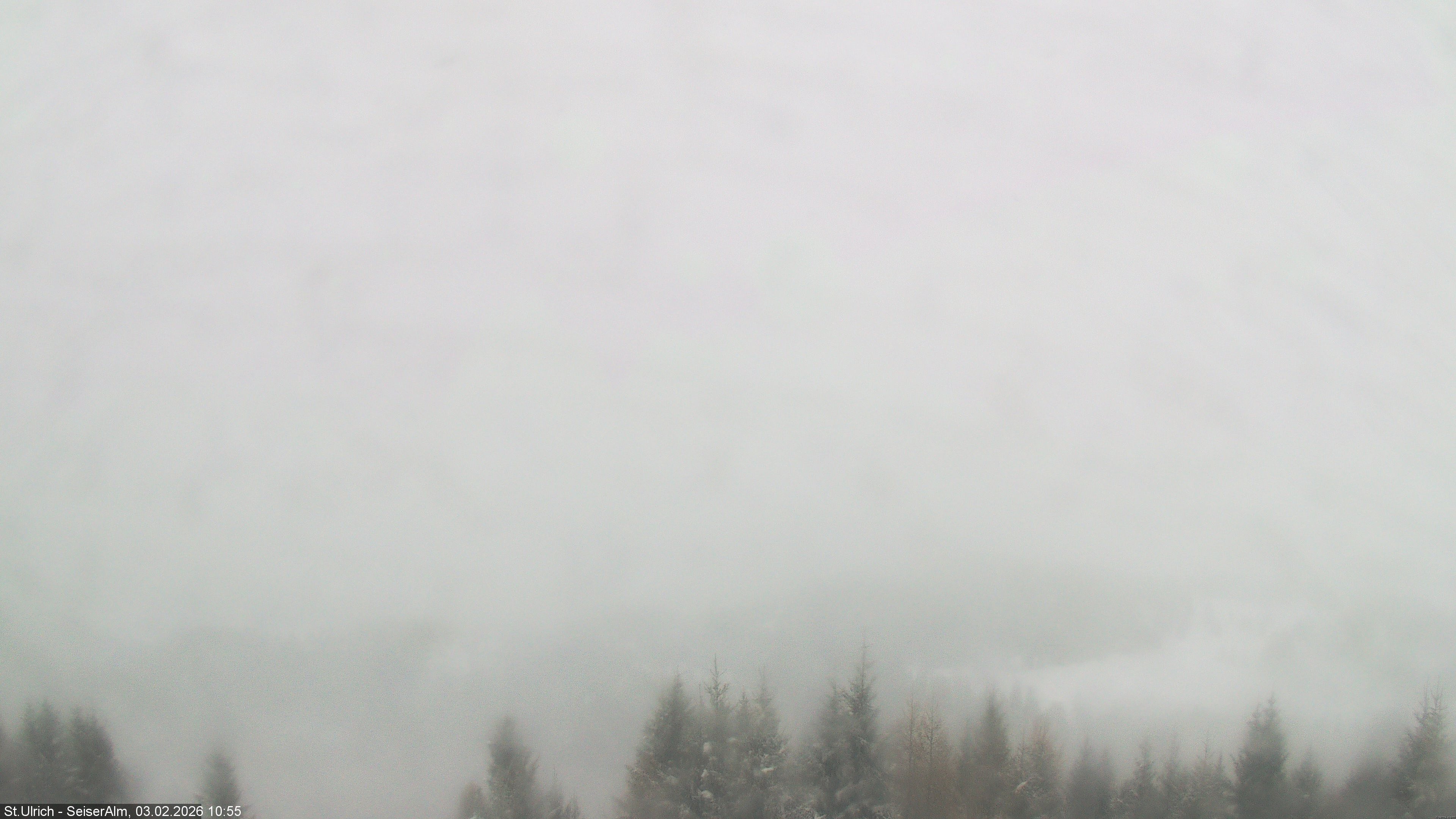 Archiv Foto Webcam Ausblick Seiser Alm