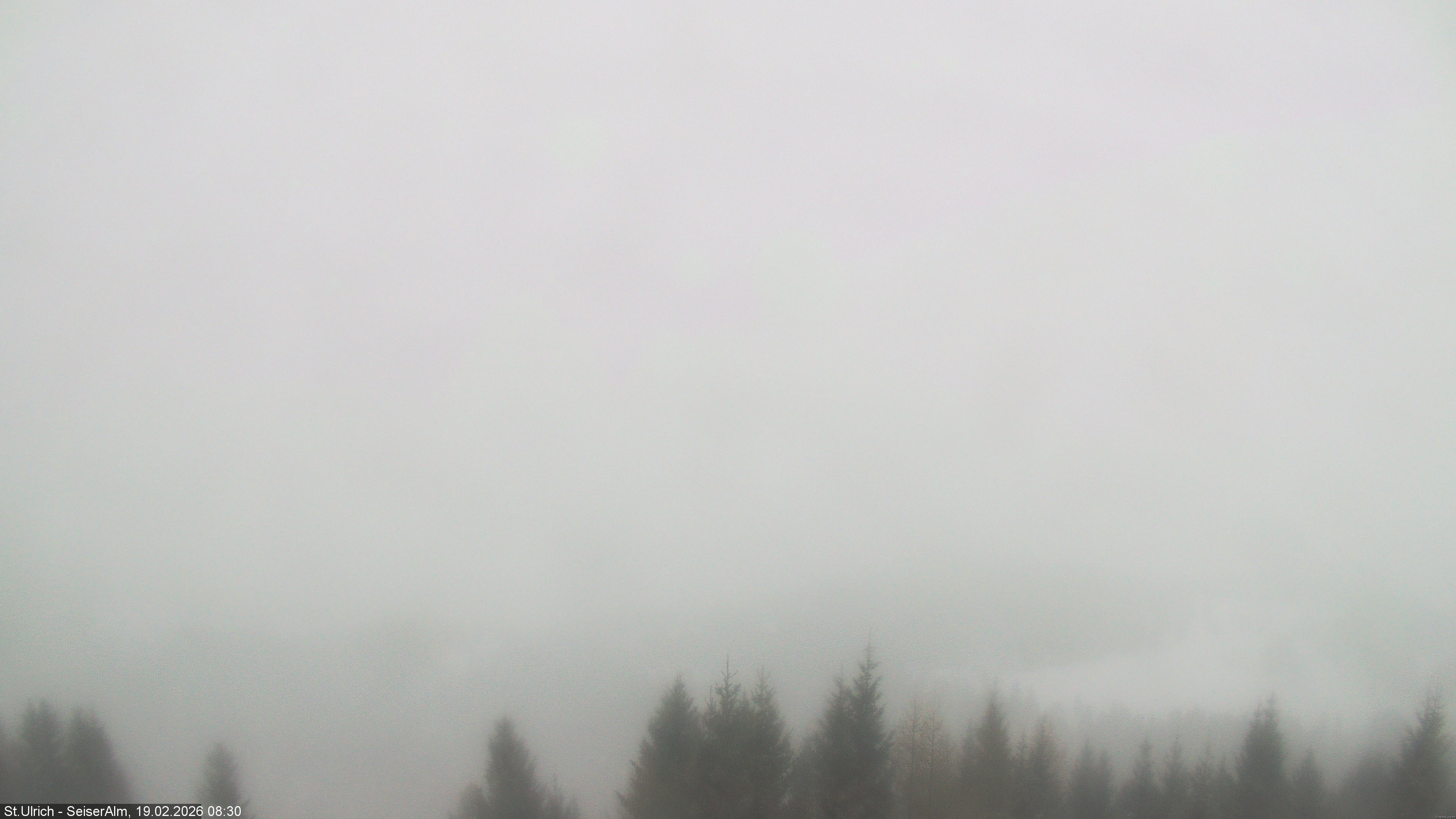 Archived image Webcam Vista Alpe di Siusi