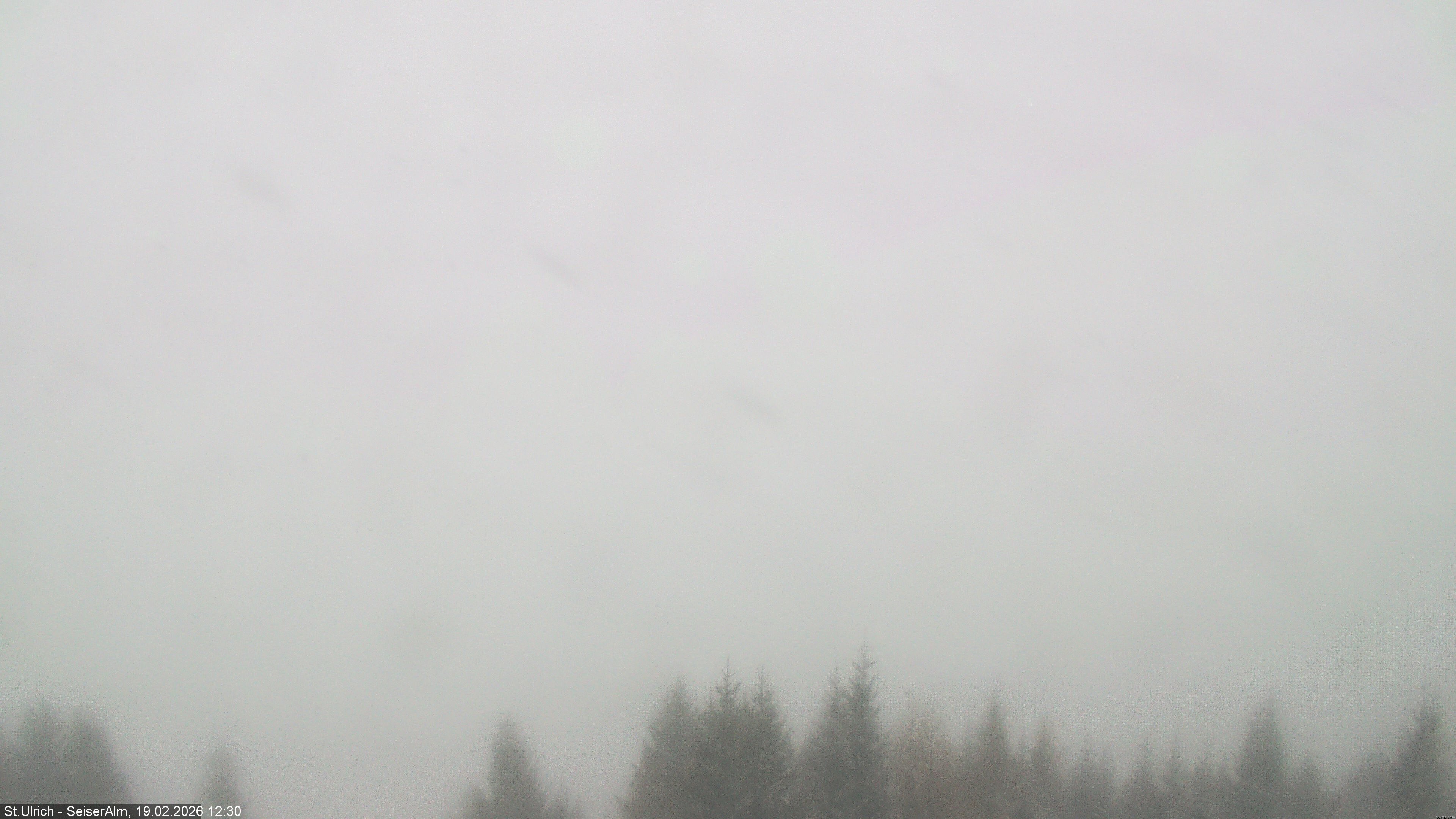 Archived image Webcam Vista Alpe di Siusi