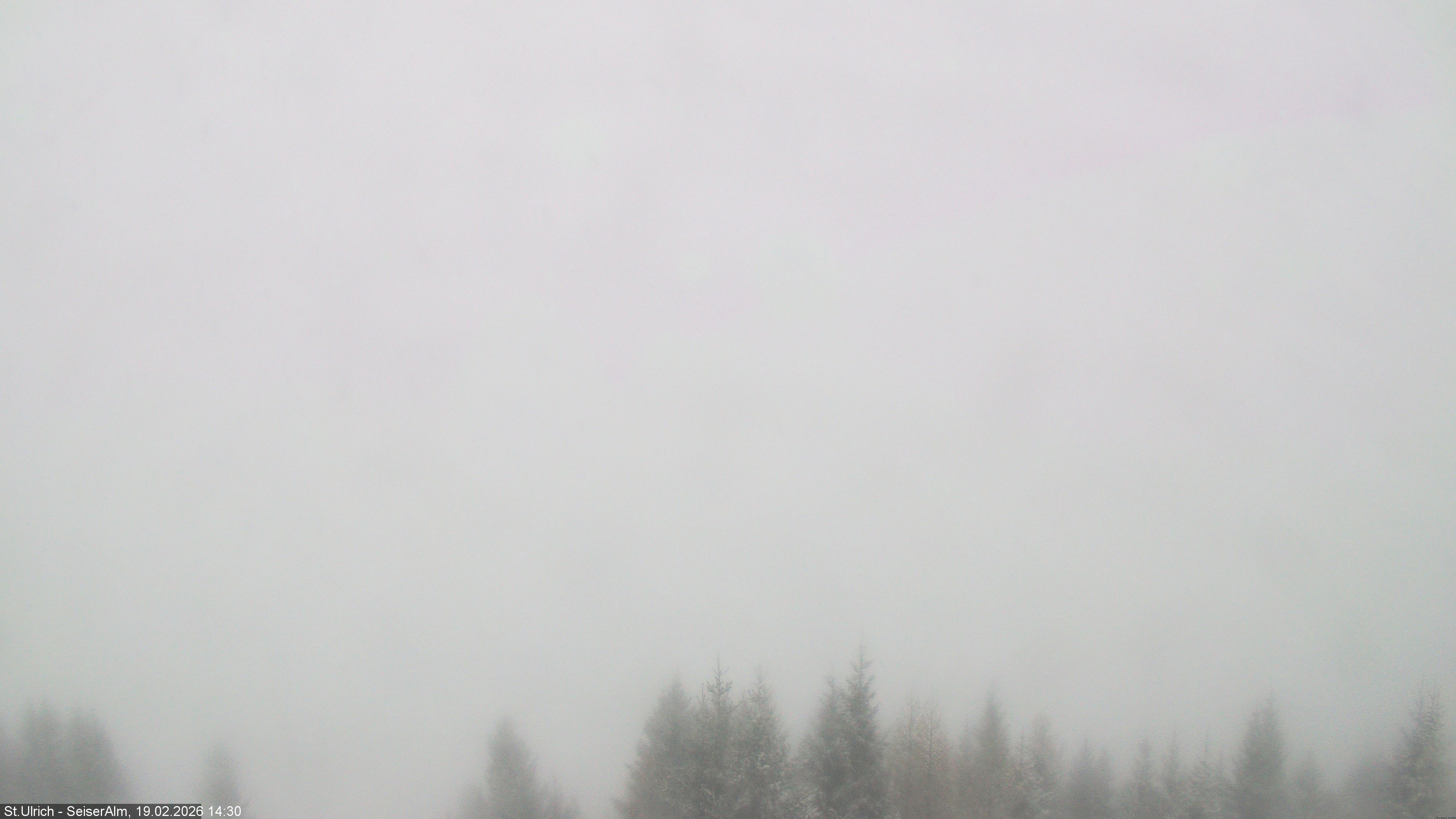 Archived image Webcam Vista Alpe di Siusi