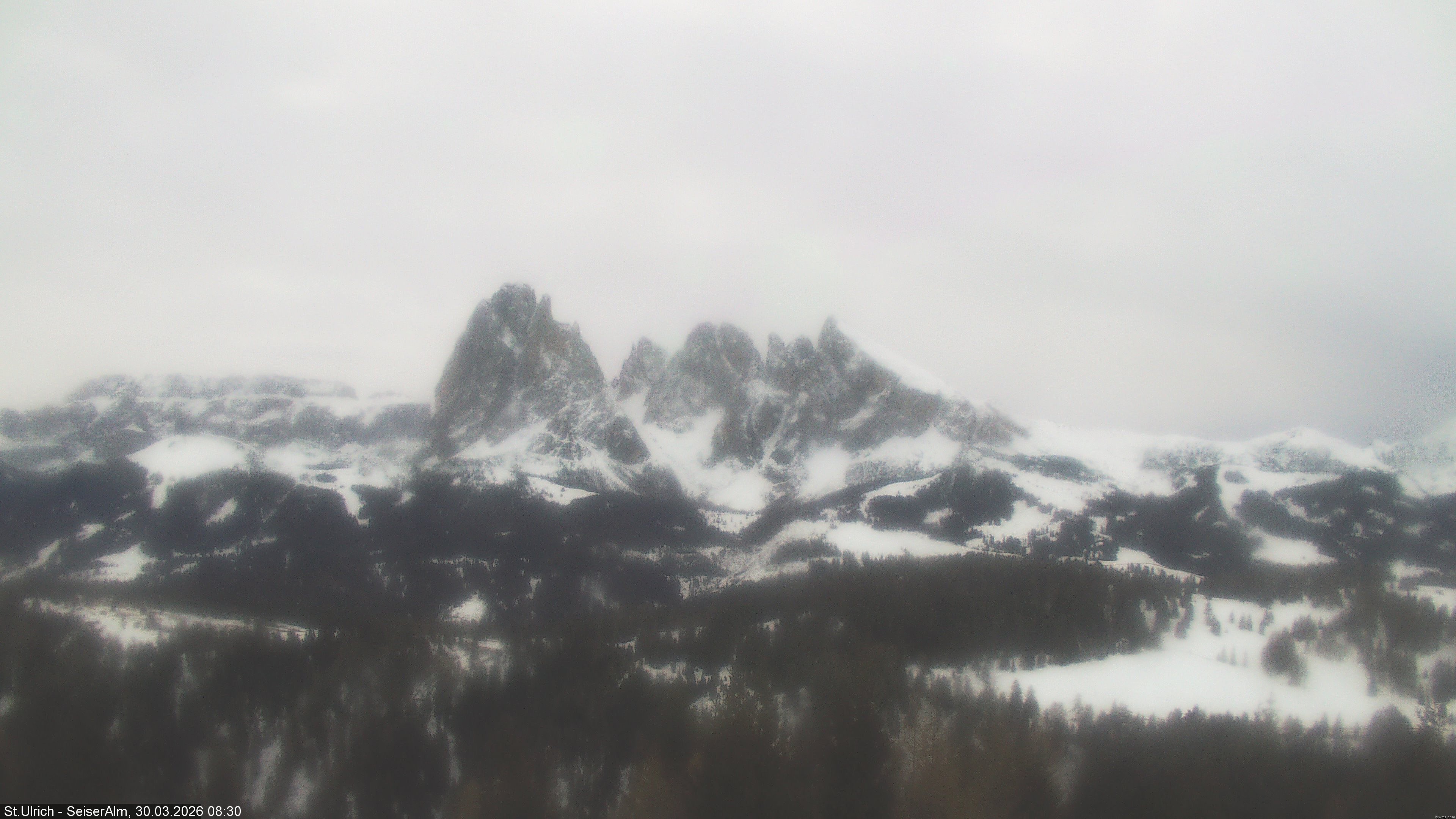 Archived image Webcam Vista Alpe di Siusi