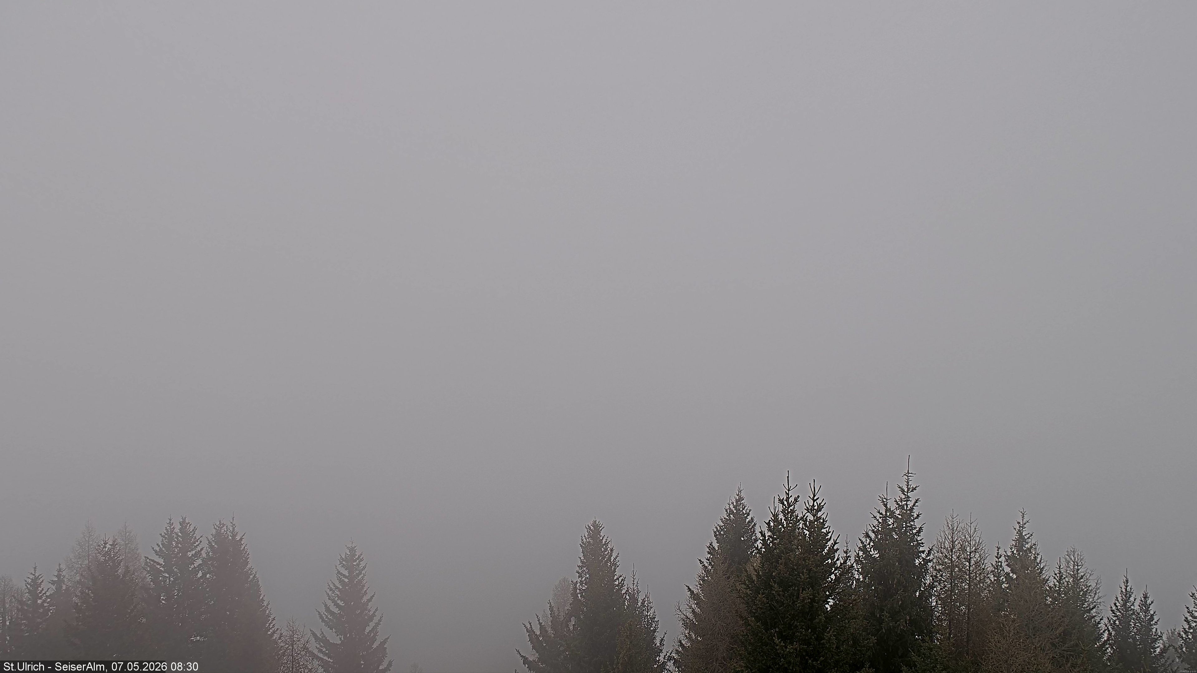 Archived image Webcam Vista Alpe di Siusi