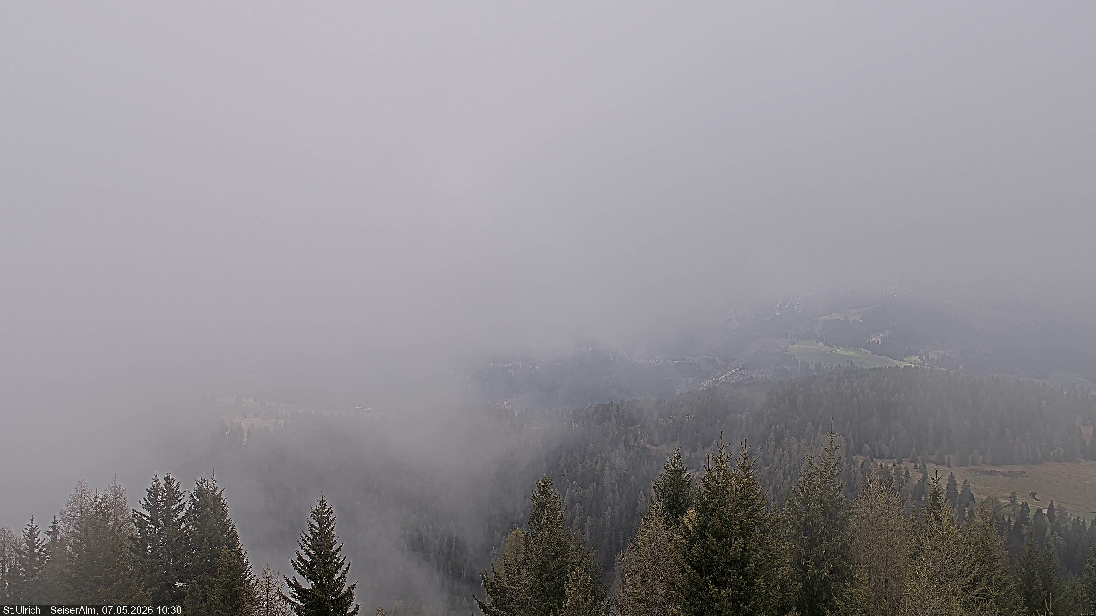 Archived image Webcam Vista Alpe di Siusi