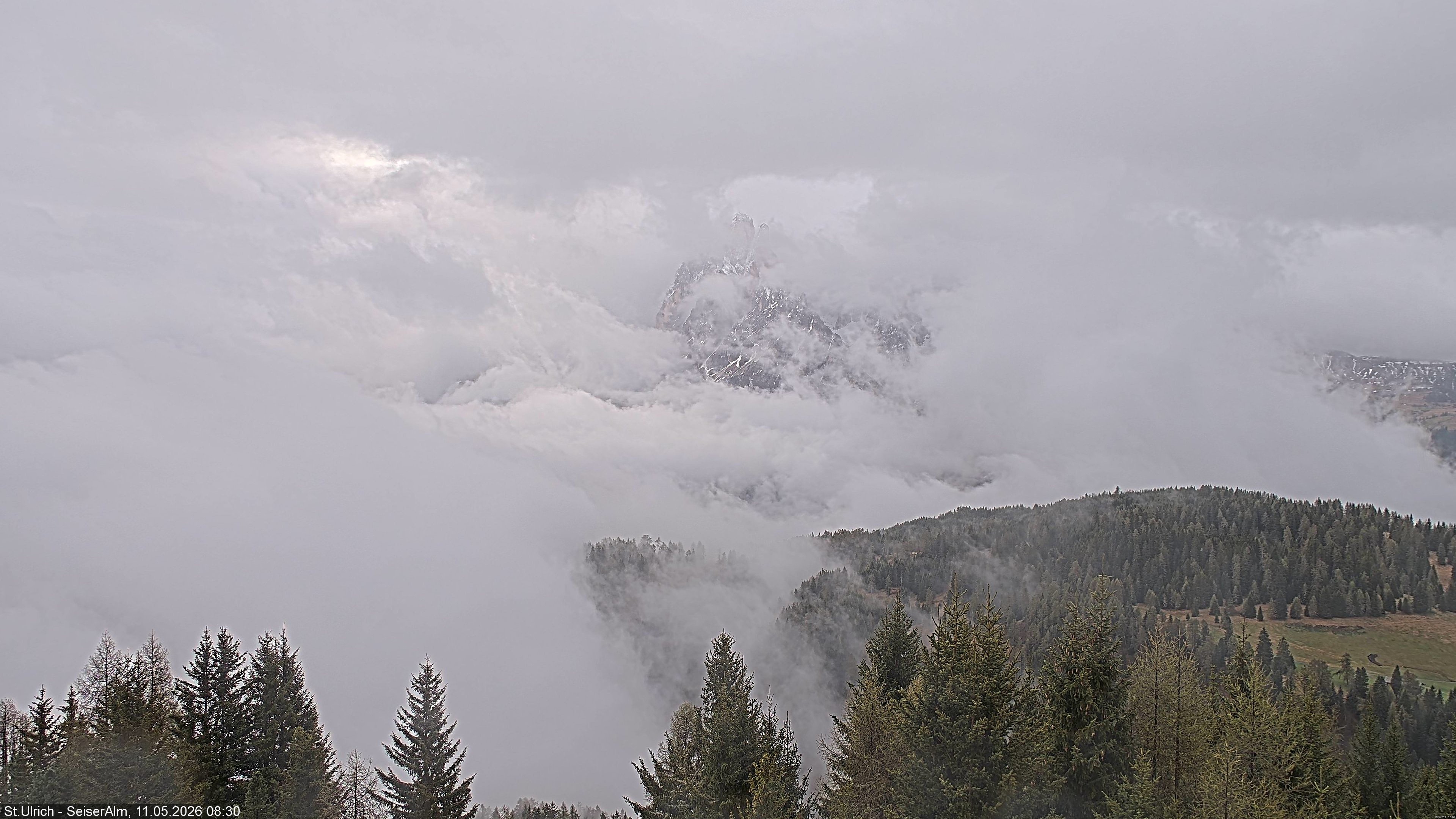 Archiv Foto Webcam Ausblick Seiser Alm