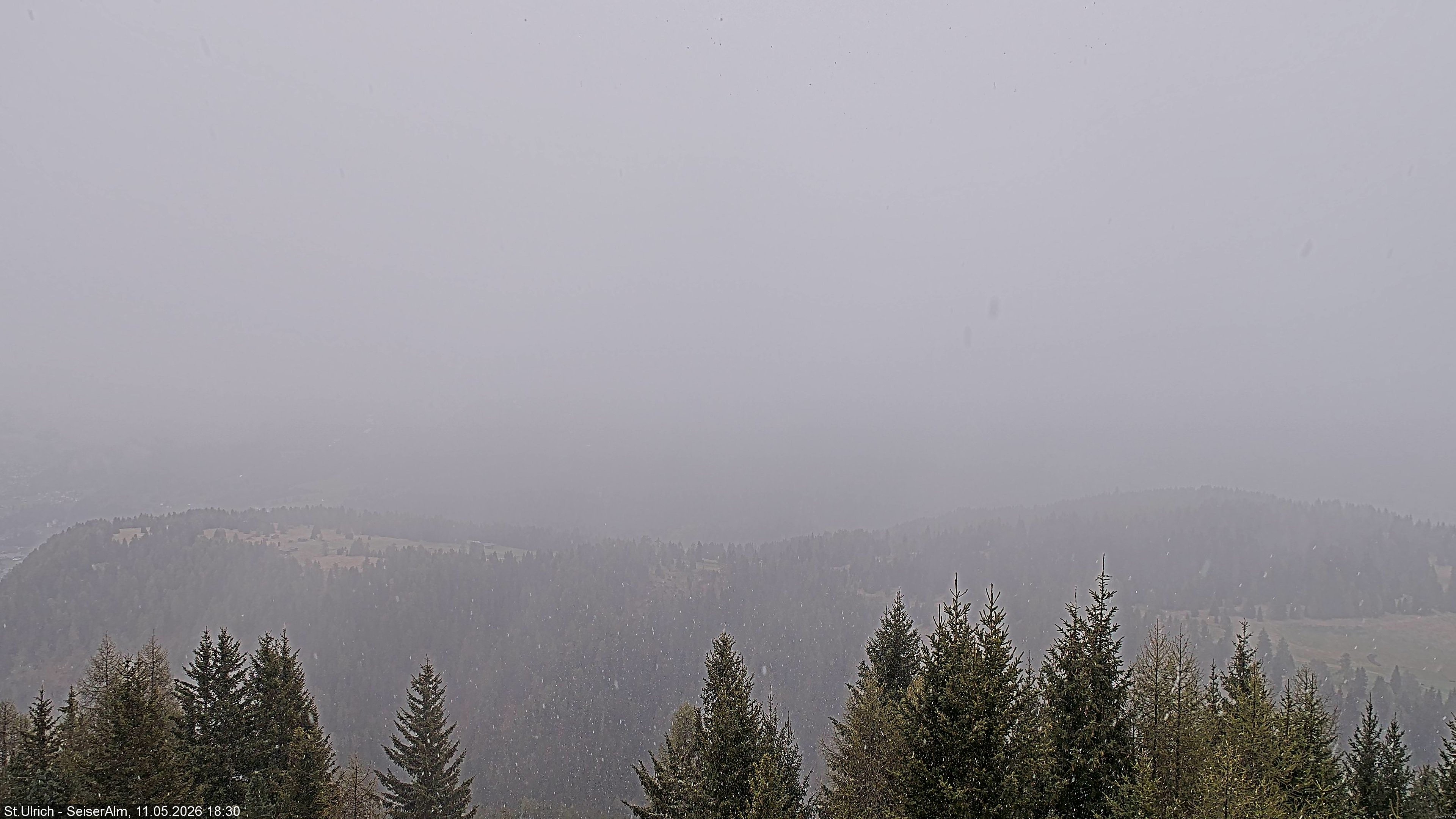 Archiv Foto Webcam Ausblick Seiser Alm