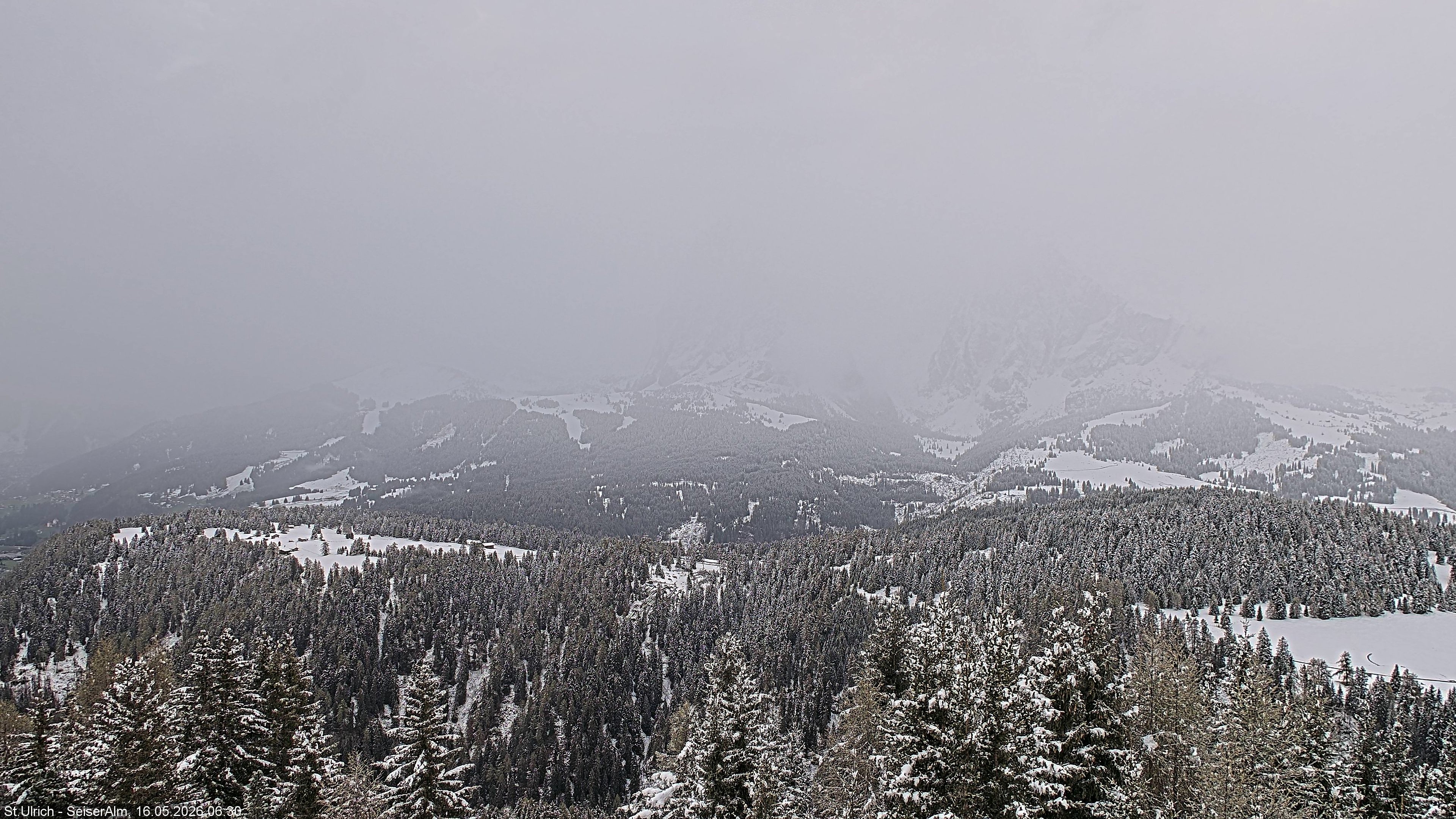 Archived image Webcam Vista Alpe di Siusi