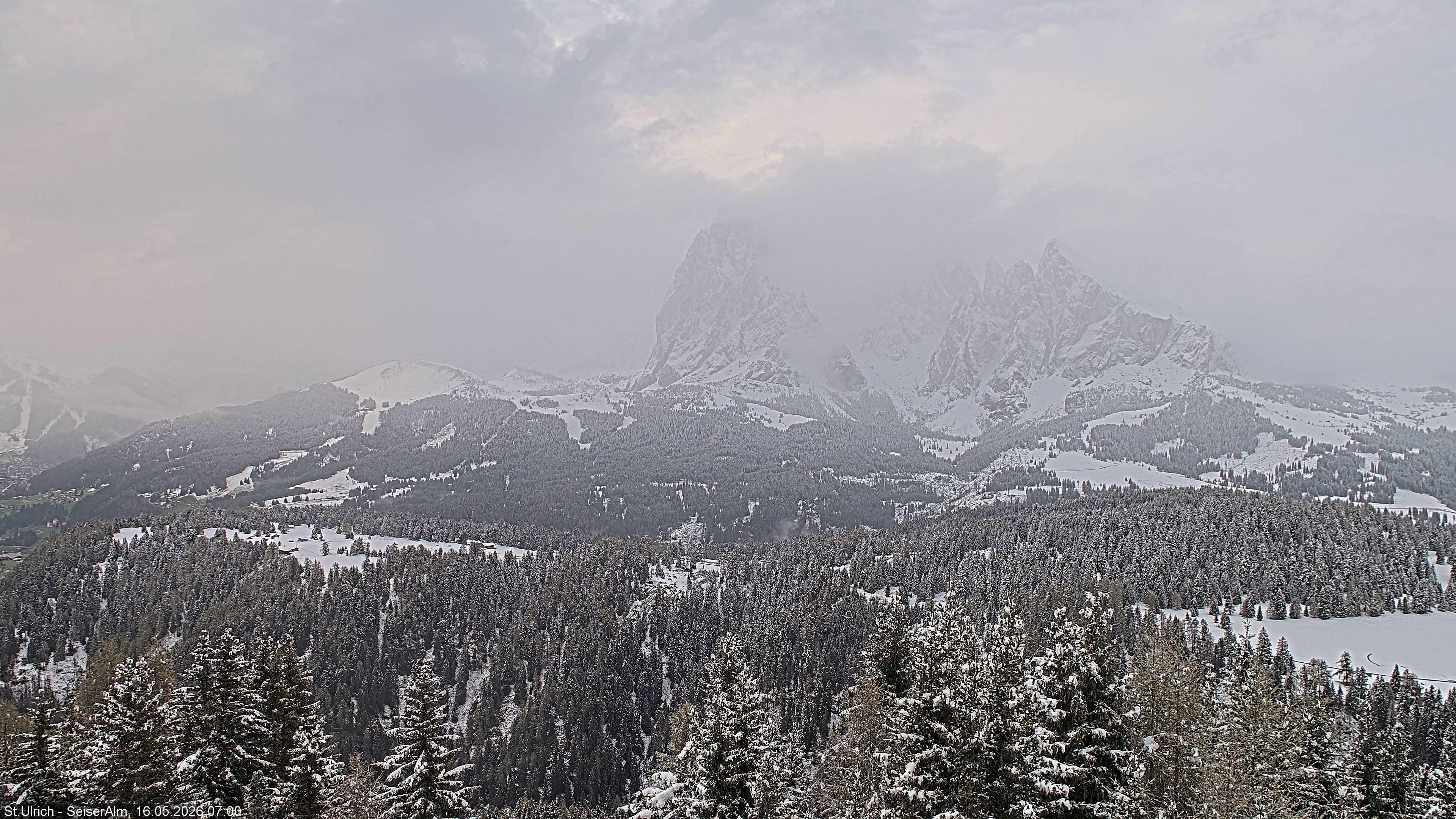 Archived image Webcam Vista Alpe di Siusi