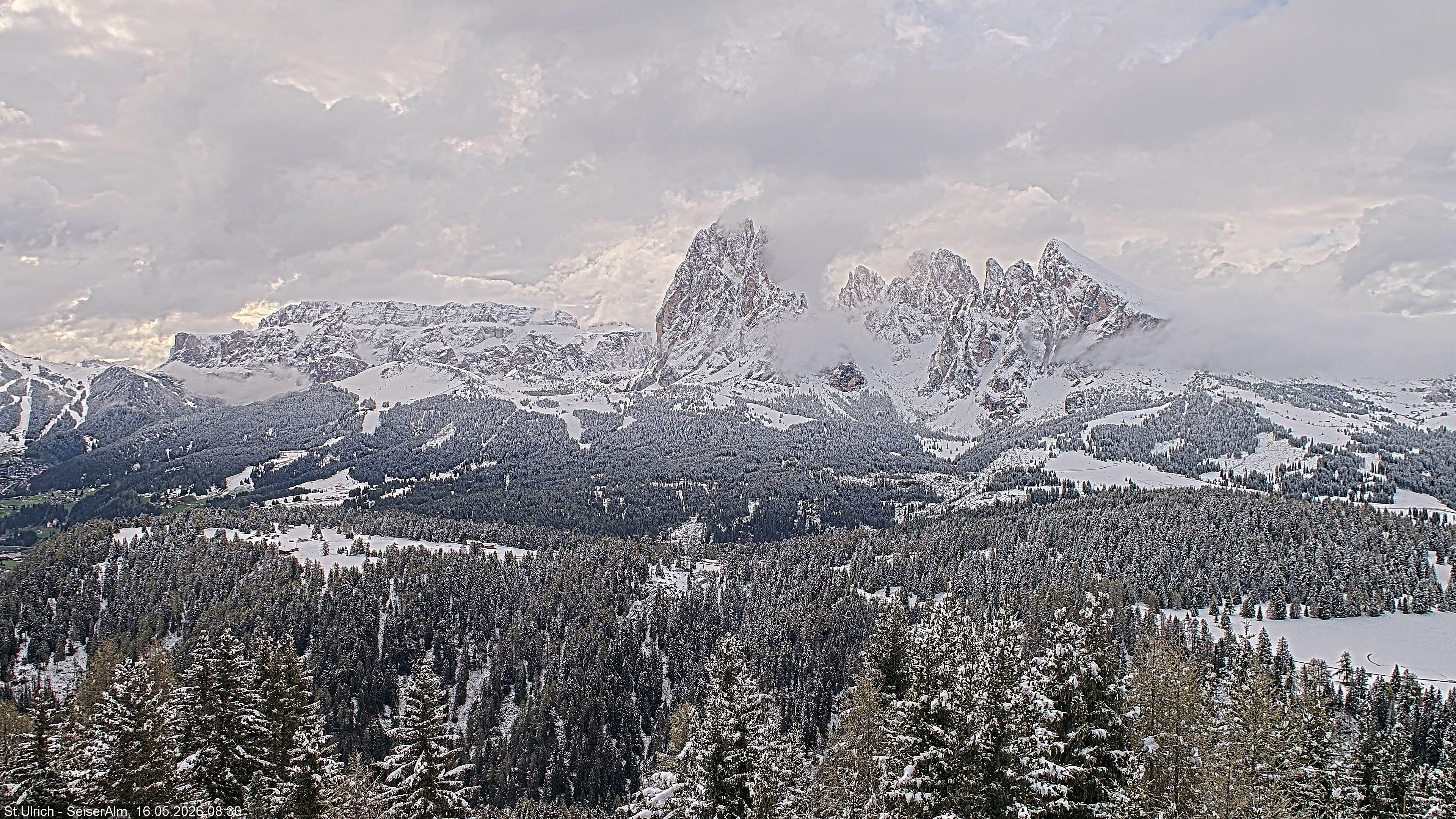 Archived image Webcam Vista Alpe di Siusi
