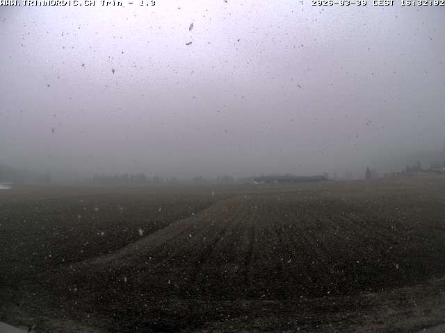 Archiv Foto Webcam Trin (nahe Flims)