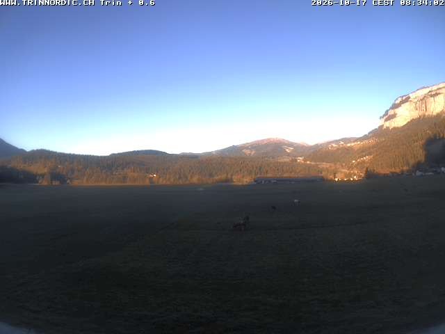 Archiv Foto Webcam Trin (nahe Flims)