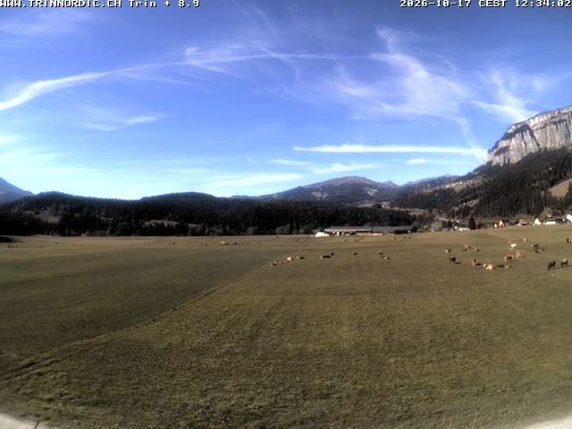 Archiv Foto Webcam Trin (nahe Flims)
