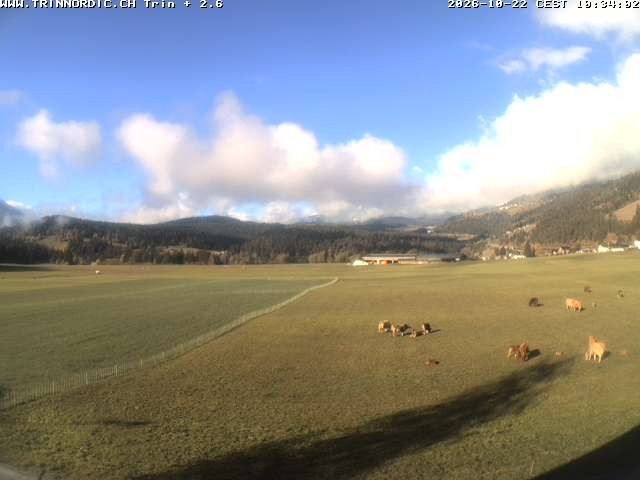 Archiv Foto Webcam Trin (nahe Flims)