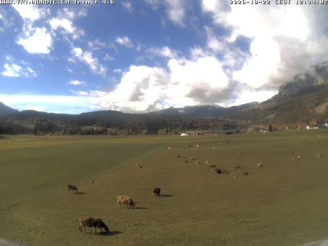 Archiv Foto Webcam Trin (nahe Flims)
