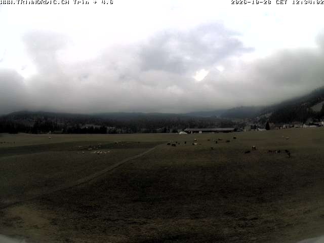 Archiv Foto Webcam Trin (nahe Flims)