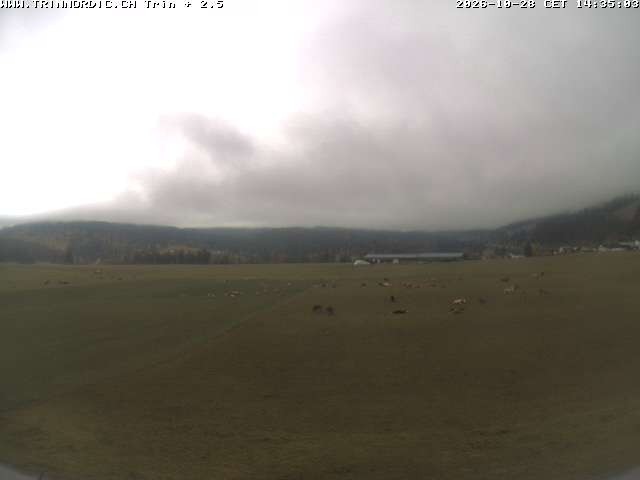 Archiv Foto Webcam Trin (nahe Flims)