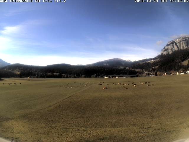 Archived image Webcam Trin (near Flims)