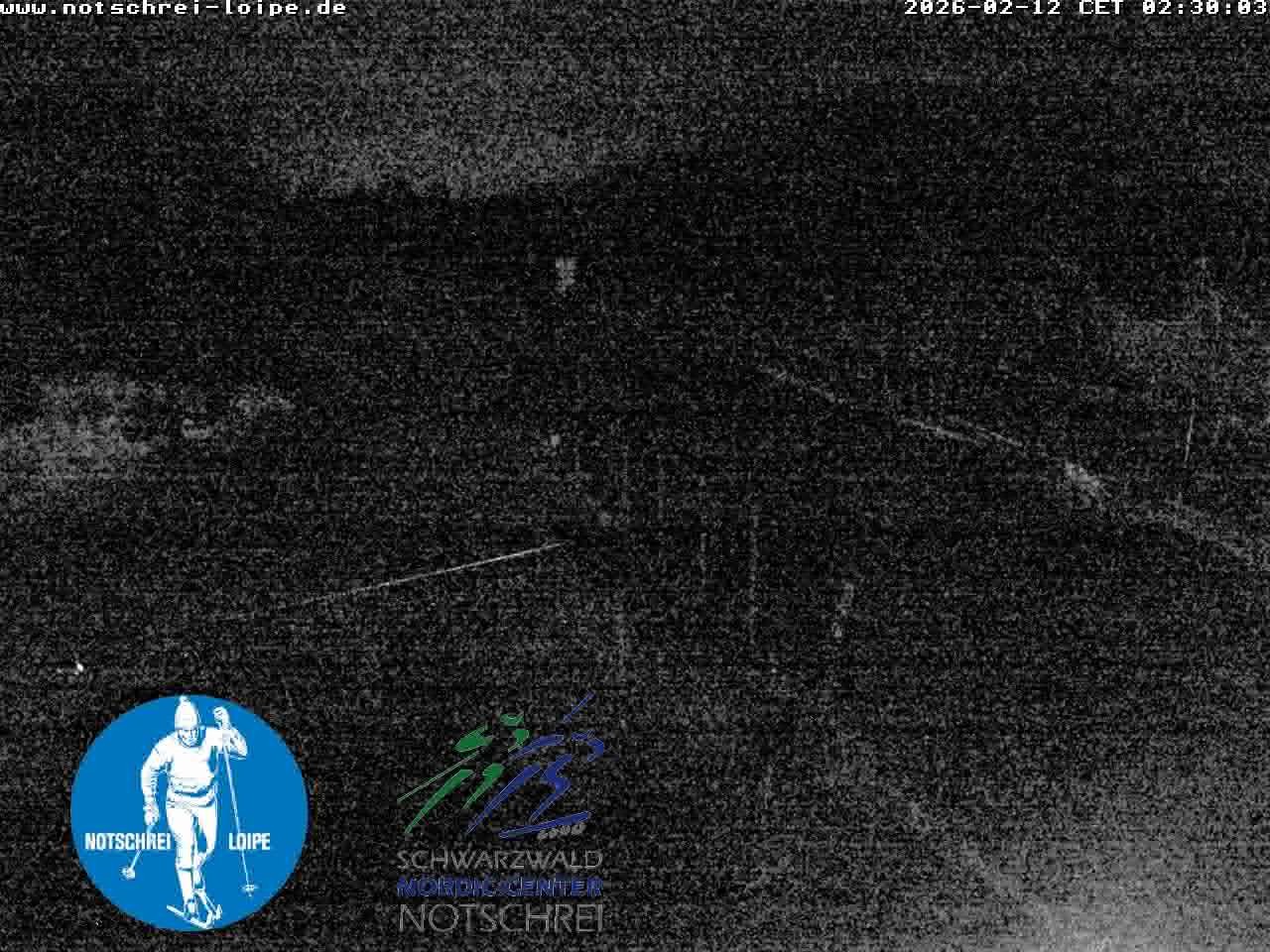 Archiv Foto Webcam Loipenzentrum Notschrei, Schwarzwald
