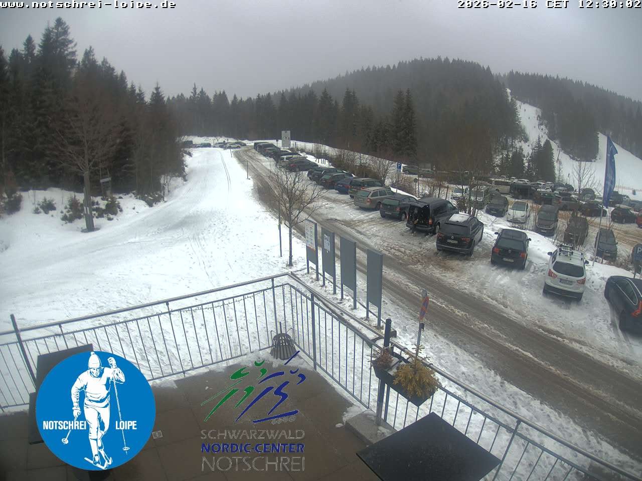 Archived image Webcam Cross Country Skiing Center Notschrei, Black Forest
