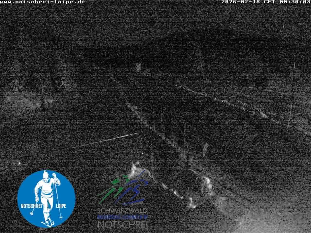 Archiv Foto Webcam Loipenzentrum Notschrei, Schwarzwald