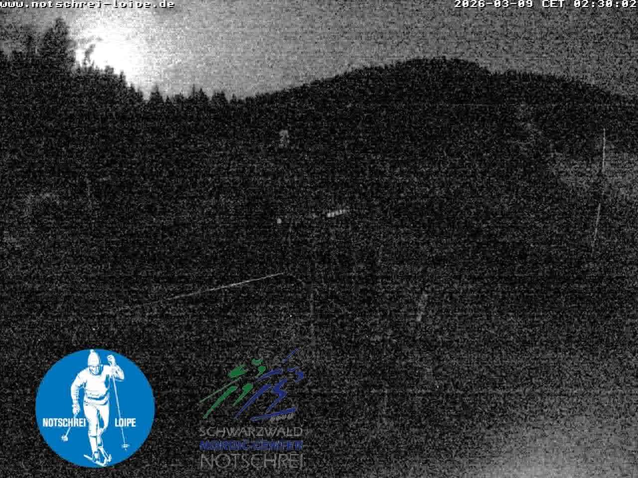 Archiv Foto Webcam Loipenzentrum Notschrei, Schwarzwald