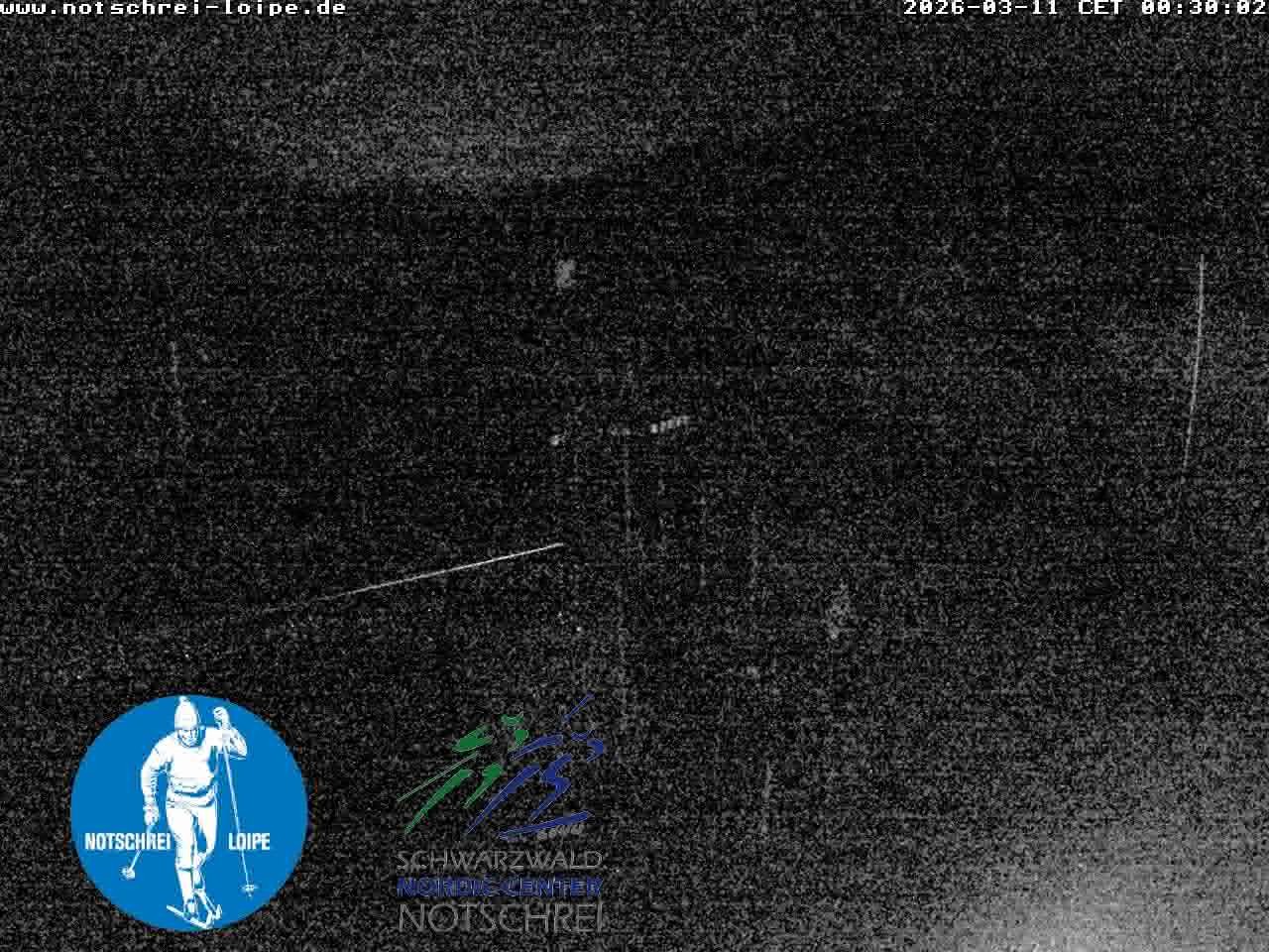 Archived image Webcam Cross Country Skiing Center Notschrei, Black Forest