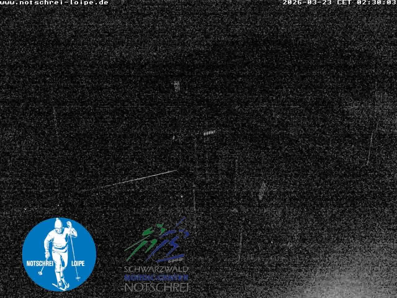 Archiv Foto Webcam Loipenzentrum Notschrei, Schwarzwald