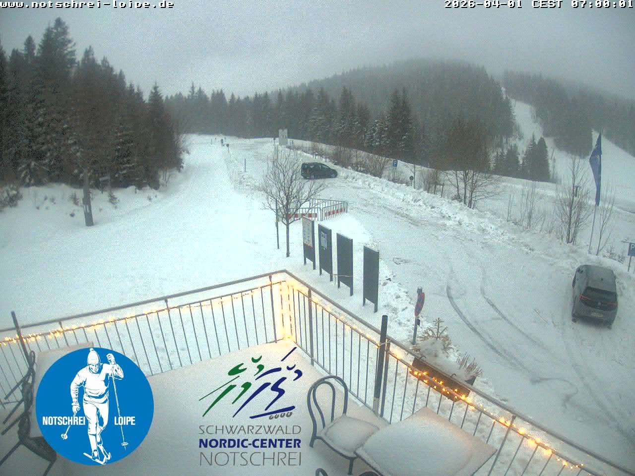 Archived image Webcam Cross Country Skiing Center Notschrei, Black Forest