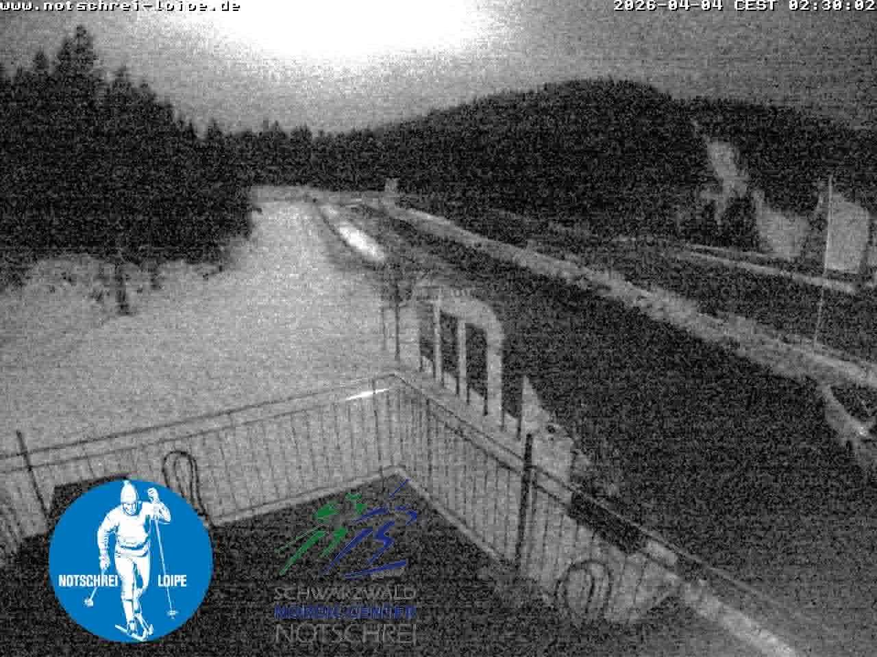 Archiv Foto Webcam Loipenzentrum Notschrei, Schwarzwald