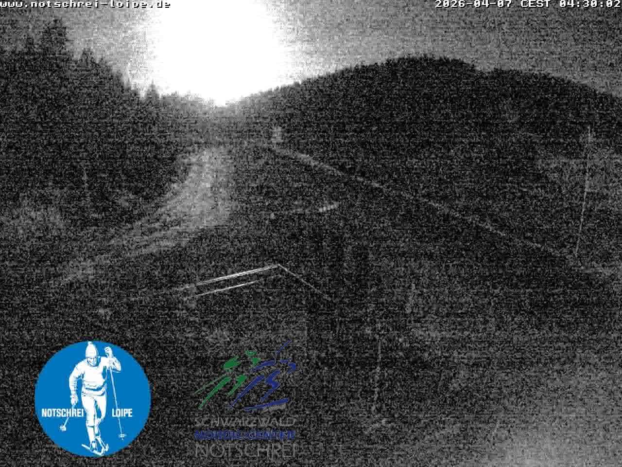 Archiv Foto Webcam Loipenzentrum Notschrei, Schwarzwald