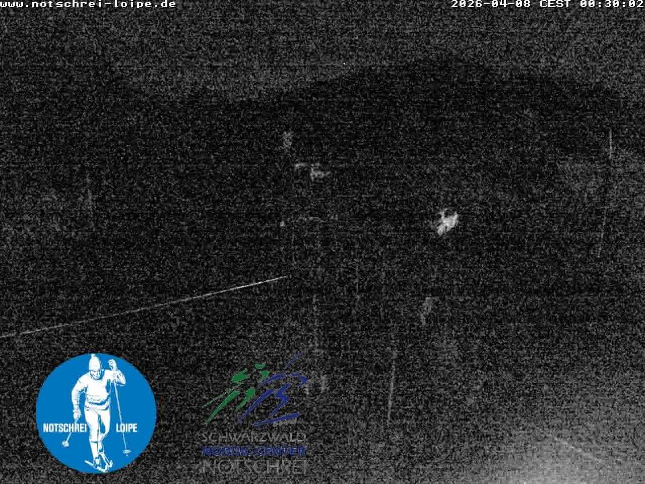 Archiv Foto Webcam Loipenzentrum Notschrei, Schwarzwald