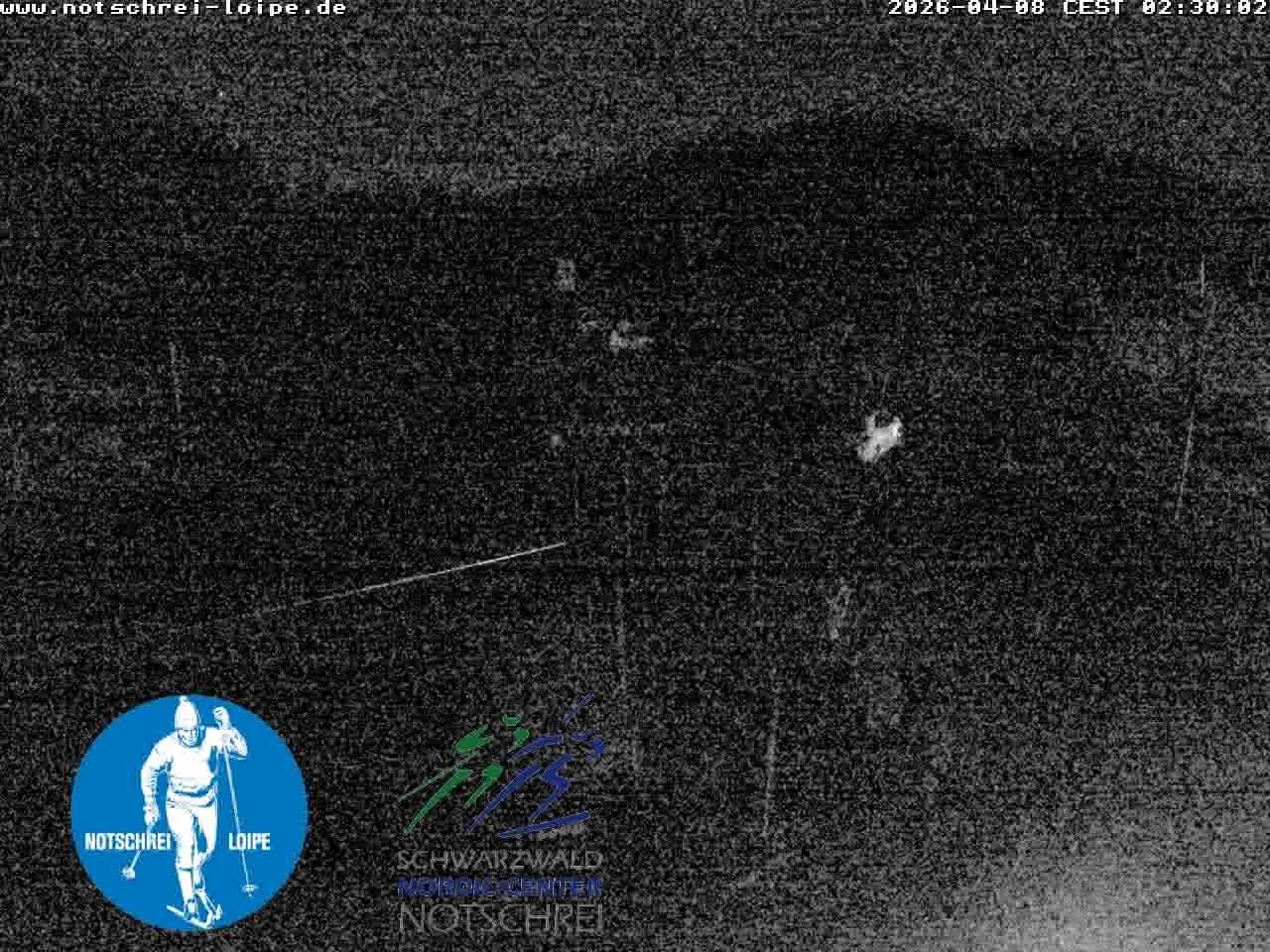 Archiv Foto Webcam Loipenzentrum Notschrei, Schwarzwald