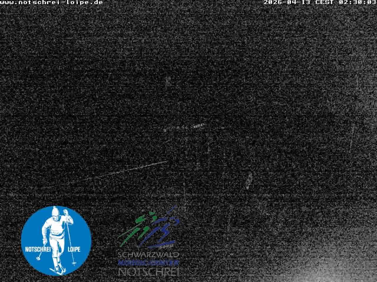 Archiv Foto Webcam Loipenzentrum Notschrei, Schwarzwald