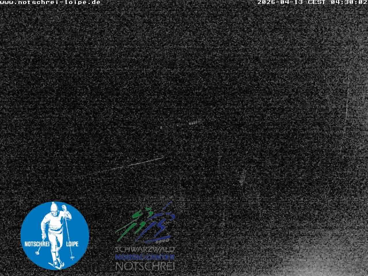 Archived image Webcam Cross Country Skiing Center Notschrei, Black Forest