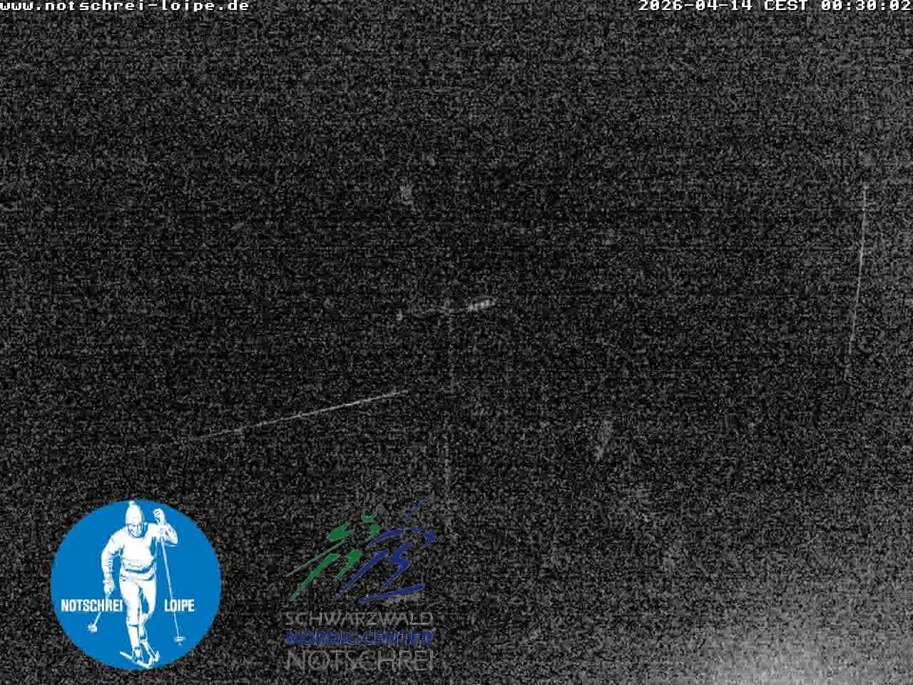 Archiv Foto Webcam Loipenzentrum Notschrei, Schwarzwald