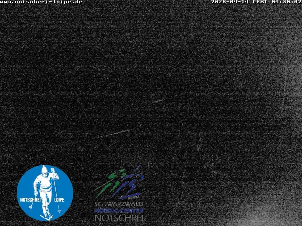 Archiv Foto Webcam Loipenzentrum Notschrei, Schwarzwald