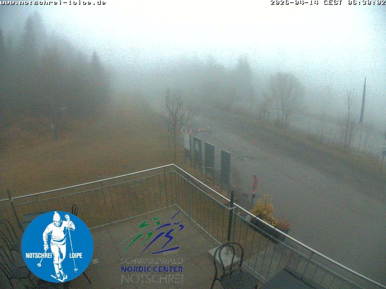 Archiv Foto Webcam Loipenzentrum Notschrei, Schwarzwald