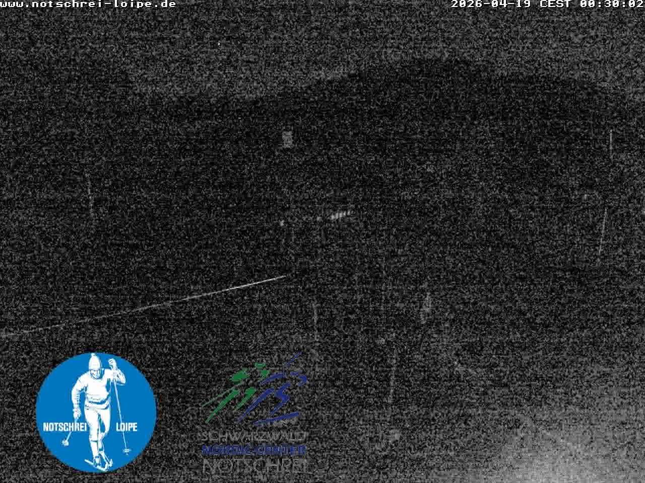 Archiv Foto Webcam Loipenzentrum Notschrei, Schwarzwald